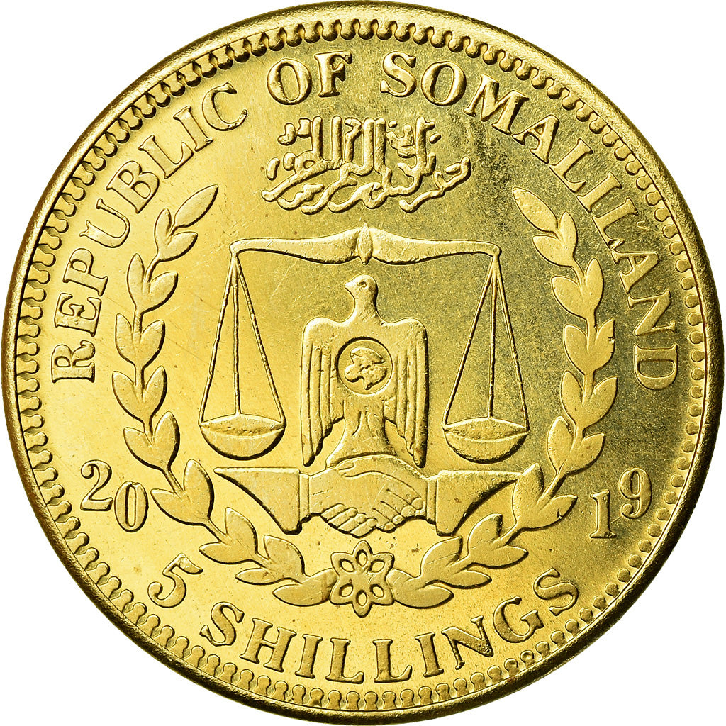 Moneta, Somaliland, 5 Shillings, 2019, Chiens - Lévrier afghan, SPL, Ottone