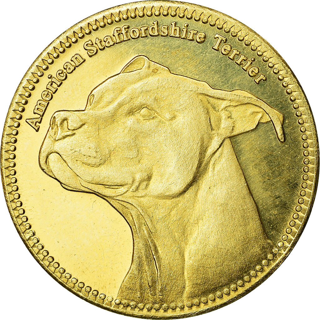Coin, Somaliland, 5 Shillings, 2019, Chiens - American staffordshire terrier