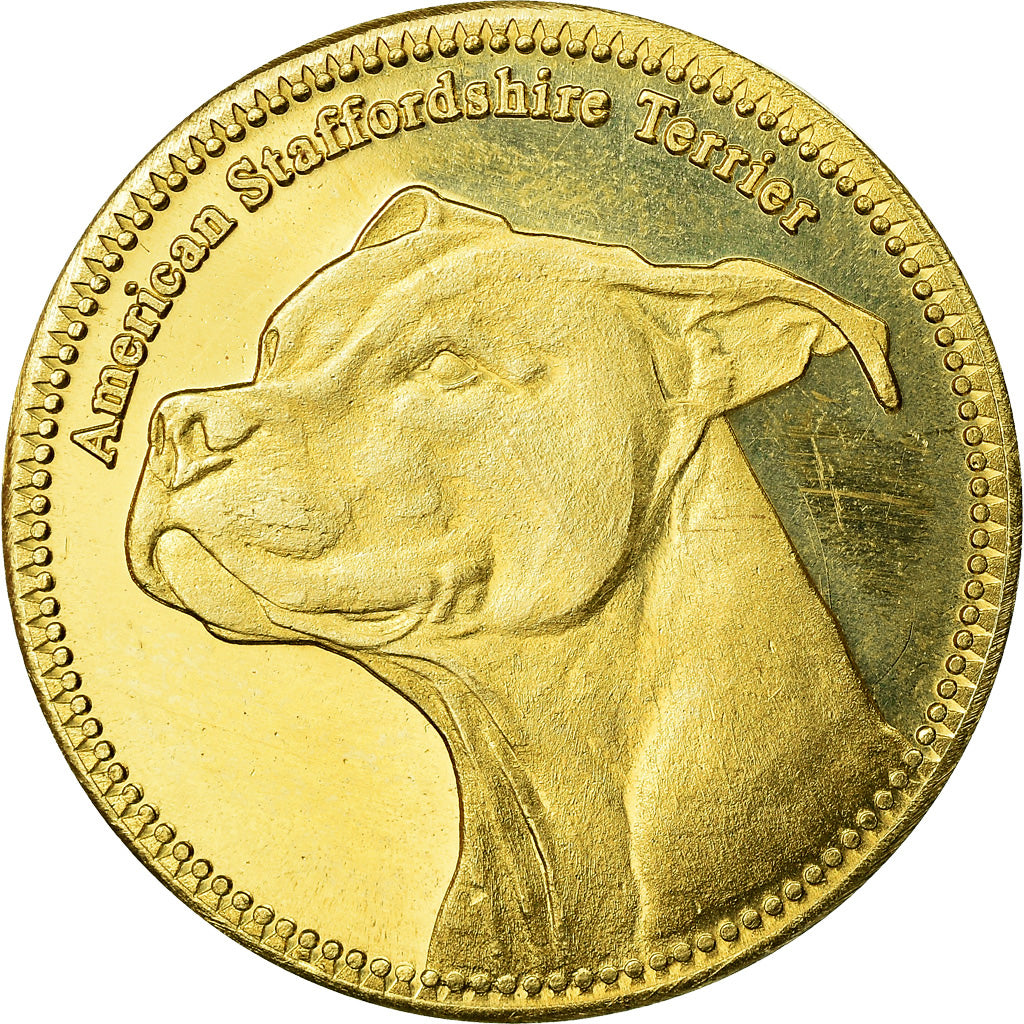 Coin, Somaliland, 5 Shillings, 2019, Chiens - American staffordshire terrier