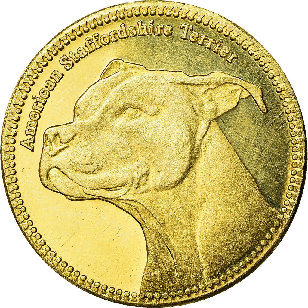 Coin, Somaliland, 5 Shillings, 2019, Chiens - American staffordshire terrier