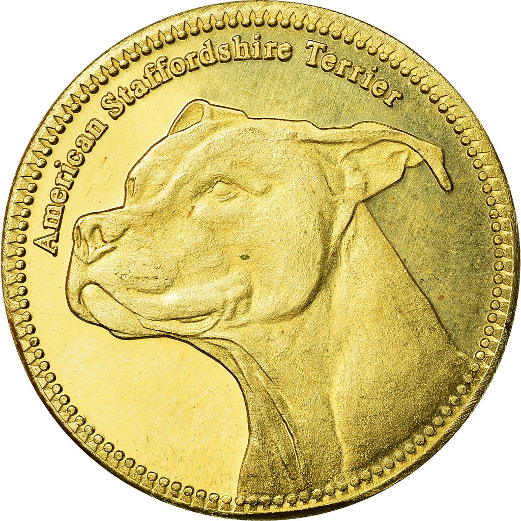 Coin, Somaliland, 5 Shillings, 2019, Chiens - American staffordshire terrier