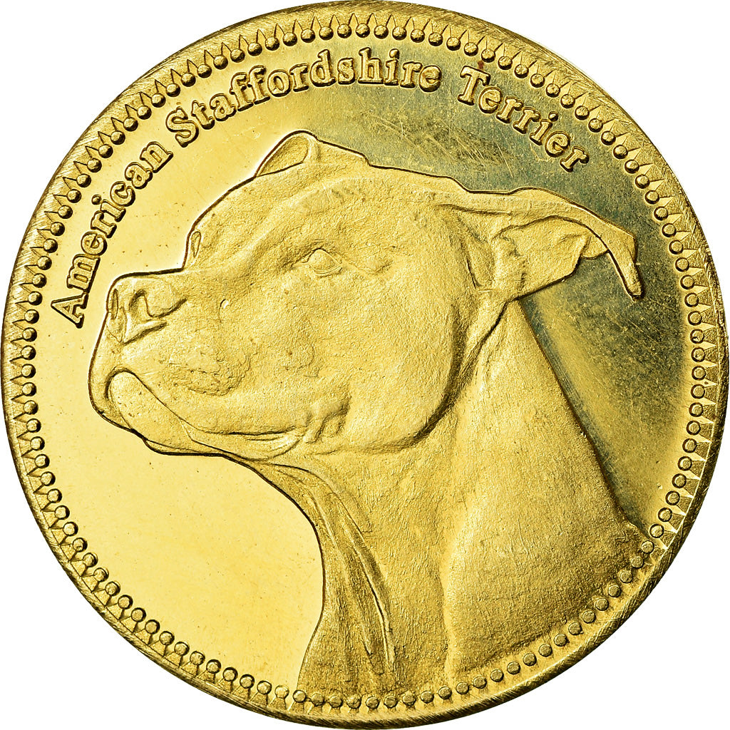 Coin, Somaliland, 5 Shillings, 2019, Chiens - American staffordshire terrier