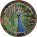 Coin, Somaliland, Shilling, 2019, Oiseaux - Paon, MS(63), Stainless Steel