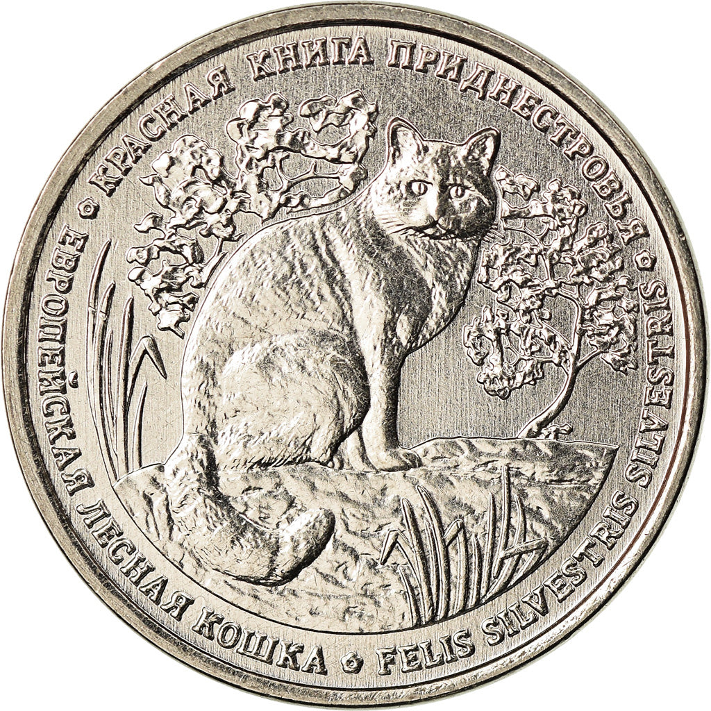 Coin, Transnistria, Rouble, 2020, Chat sauvage, MS(63), Copper-nickel