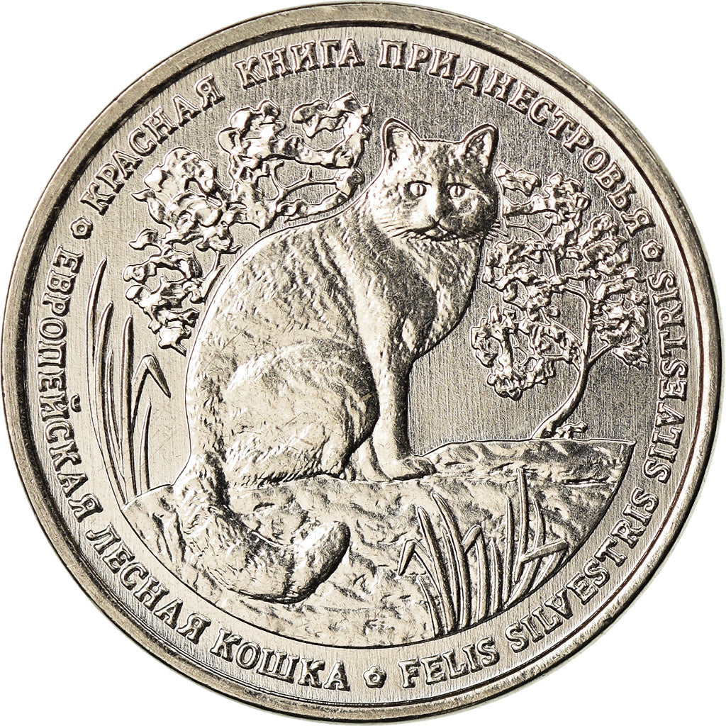 Coin, Transnistria, Rouble, 2020, Chat sauvage, MS(63), Copper-nickel