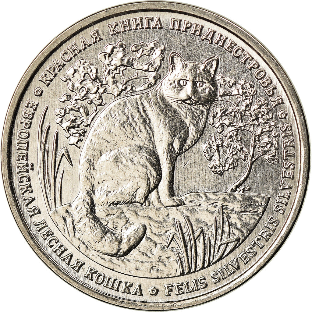 Coin, Transnistria, Rouble, 2020, Chat sauvage, MS(63), Copper-nickel