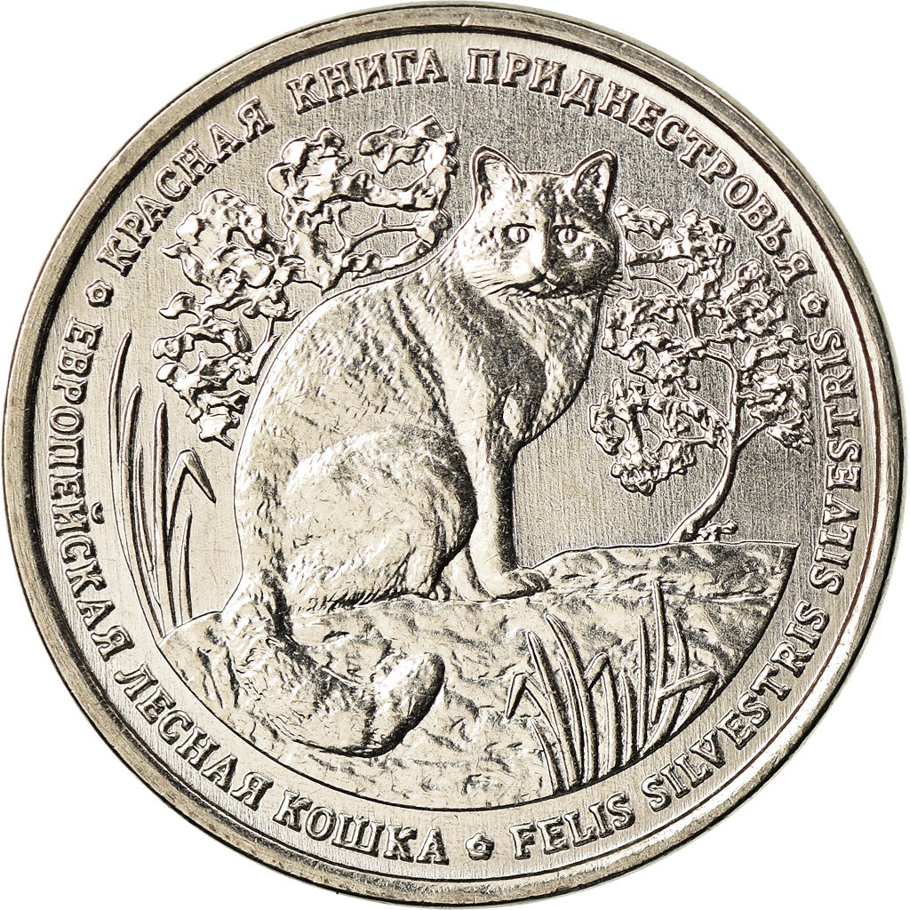 Coin, Transnistria, Rouble, 2020, Chat sauvage, MS(63), Copper-nickel