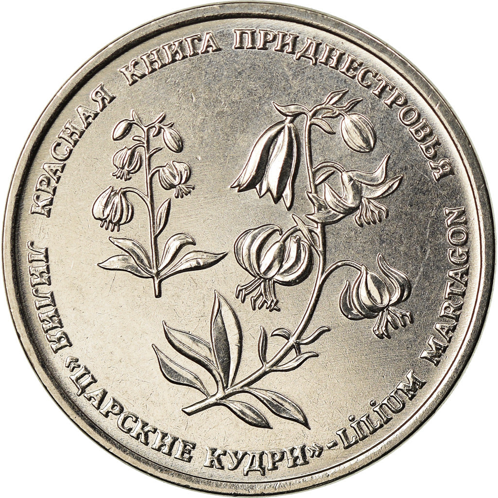 Monnaie, Transnistrie, Rouble, 2019, Lys martagon, SPL, Copper-nickel
