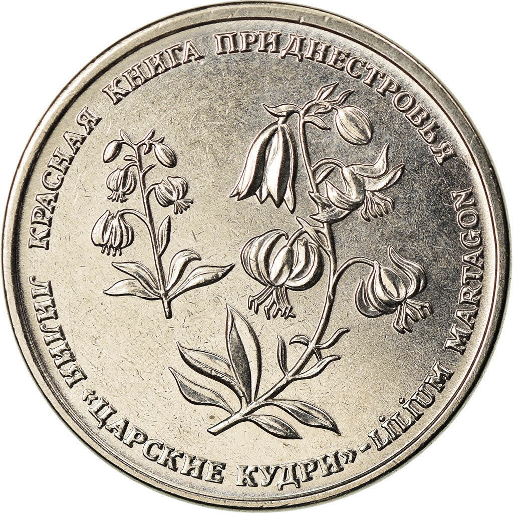 Coin, Transnistria, Rouble, 2019, Lys martagon, MS(63), Copper-nickel