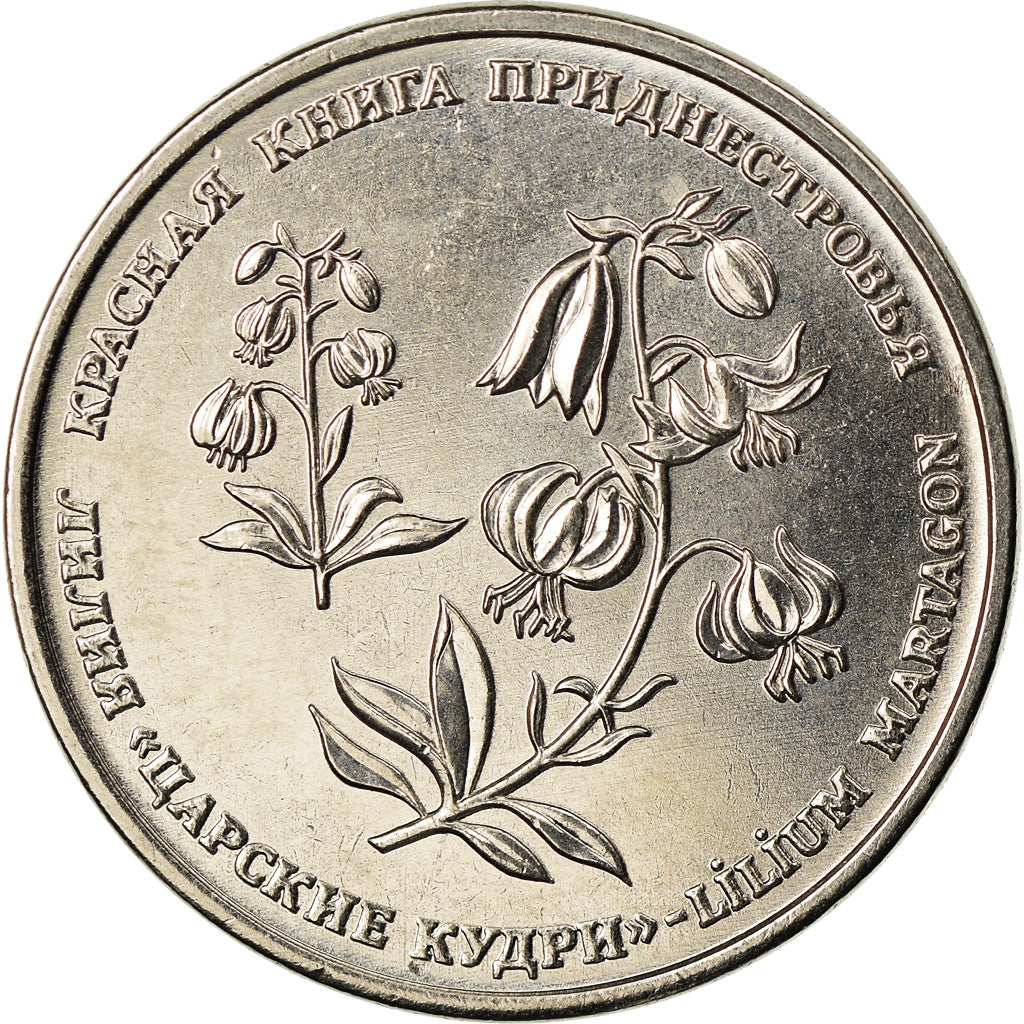 Monnaie, Transnistrie, Rouble, 2019, Lys martagon, SPL, Copper-nickel