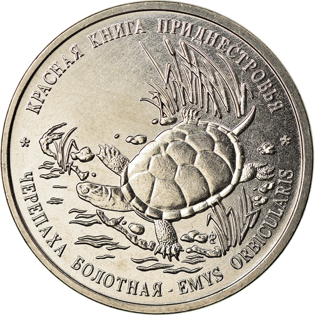 Coin, Transnistria, Rouble, 2018, Tortue, MS(63), Copper-nickel