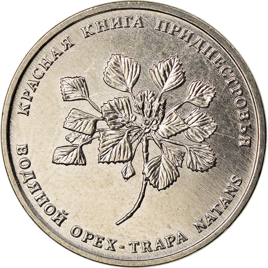Moneta, Transnistria, Rouble, 2019, Chataigne d'eau, MS(63), Miedź-Nikiel