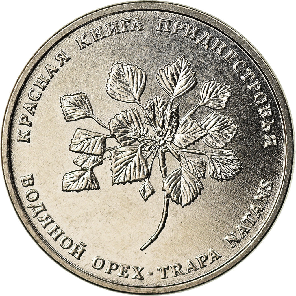 Coin, Transnistria, Rouble, 2019, Chataigne d'eau, MS(63), Copper-nickel
