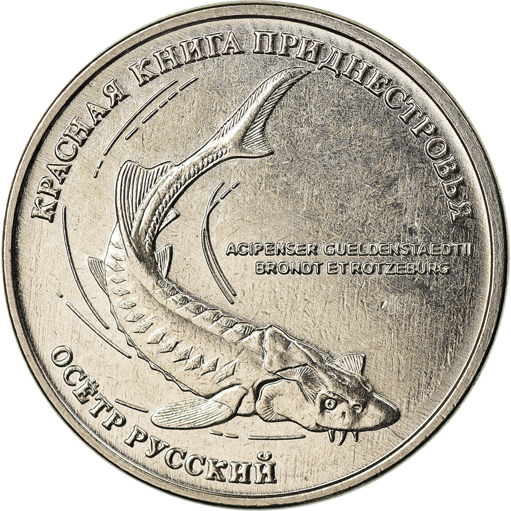 Coin, Transnistria, Rouble, 2018, Esturgeon, MS(63), Copper-nickel