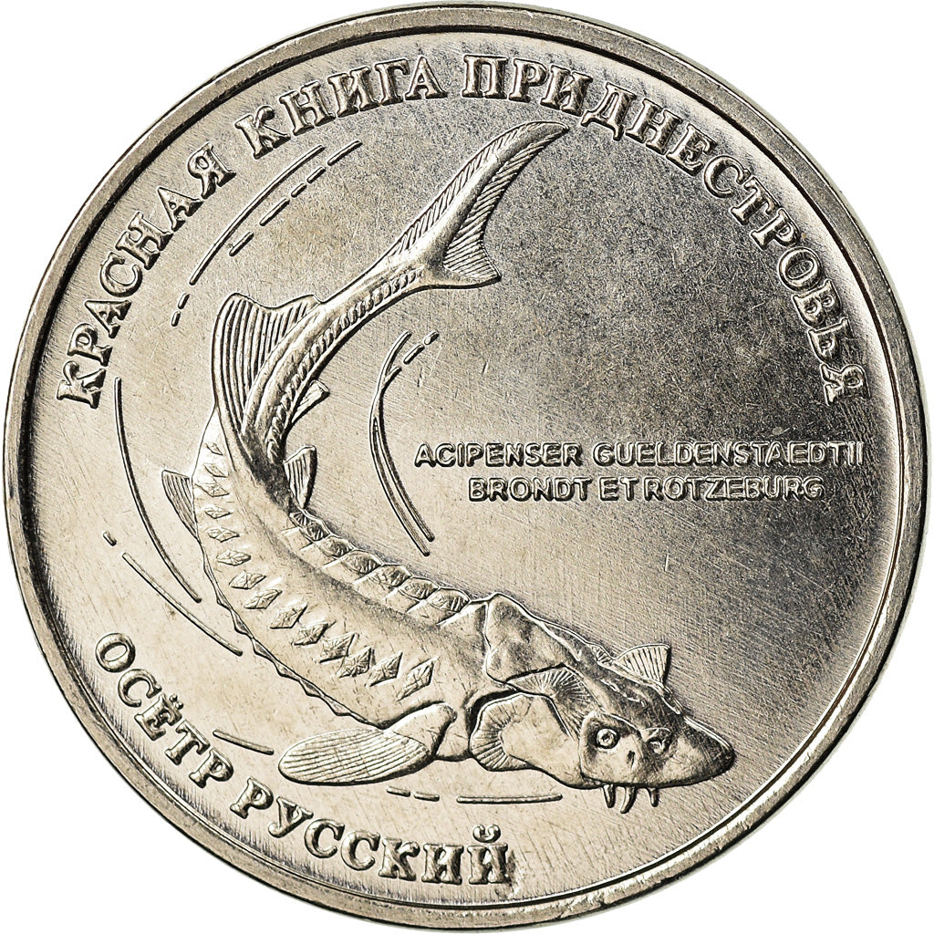 Coin, Transnistria, Rouble, 2018, Esturgeon, MS(63), Copper-nickel