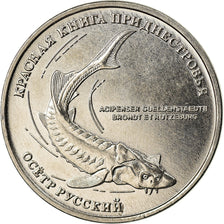 Coin, Transnistria, Rouble, 2018, Esturgeon, MS(63), Copper-nickel