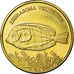 Coin, Congo Democratic Republic, 5 Rupees, 2017, Maluku - Zebrasoma veliferum