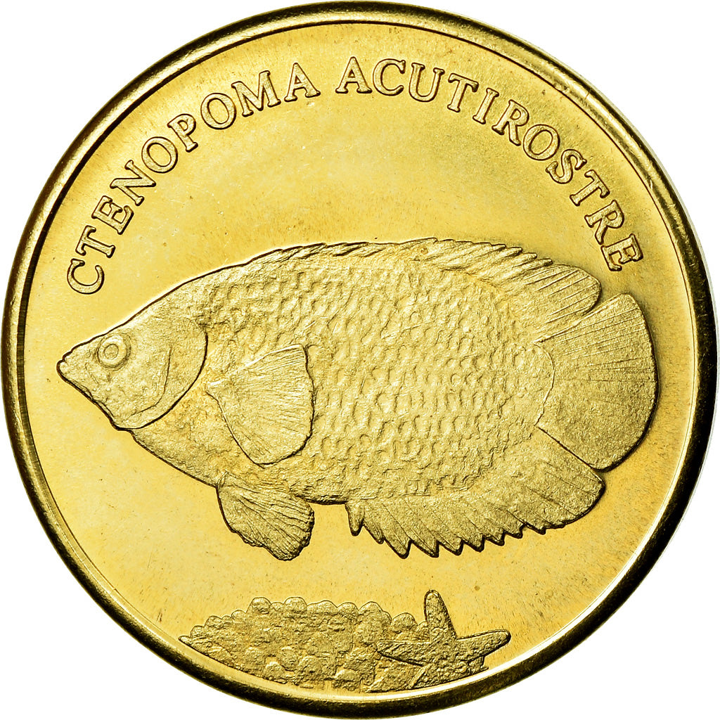 Coin, Congo Democratic Republic, 5 Rupees, 2019, Maluku - Ctenopoma acutirostre