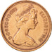 Great Britain, Elizabeth II, New Penny, 1973, AU(50-53), Bronze, KM:915