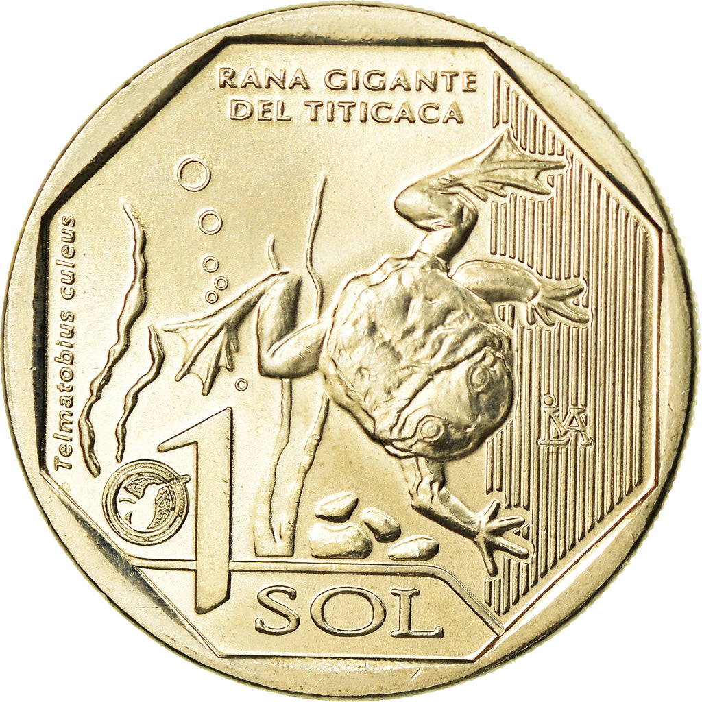 Coin, Peru, Sol, 2019, Lima, Grenouille du Titicaca, MS(63), Nickel-brass
