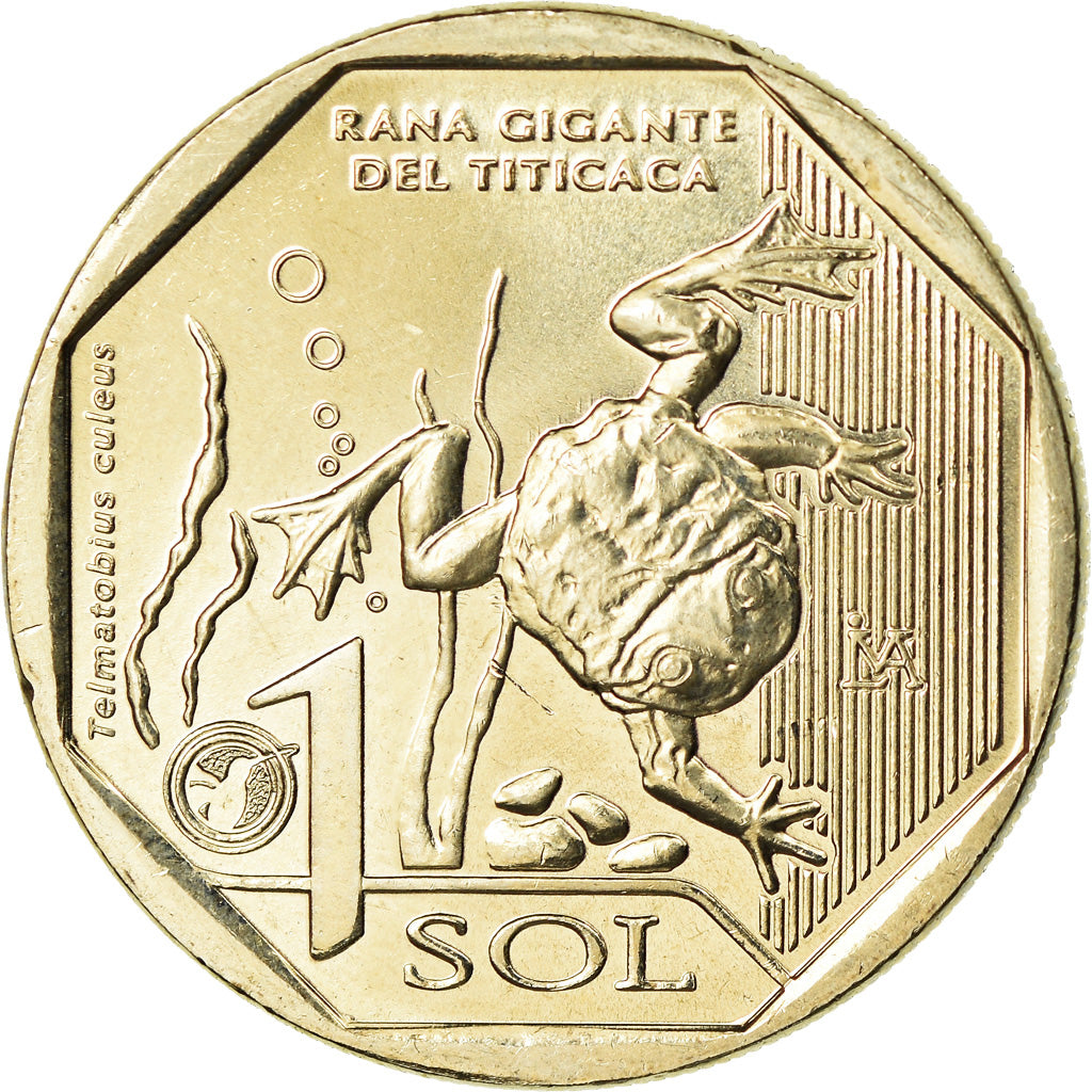 Monnaie, Pérou, Sol, 2019, Lima, Grenouille du Titicaca, SPL, Nickel-brass