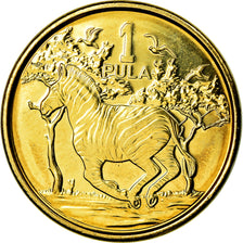 Coin, Botswana, Pula, 2013, British Royal Mint, MS(63), Bronze Plated Steel