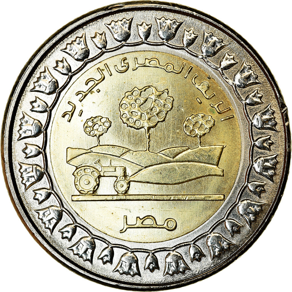 Coin, Egypt, Pound, 2019/AH1440, Nouvelle campagne égyptienne, MS(63)