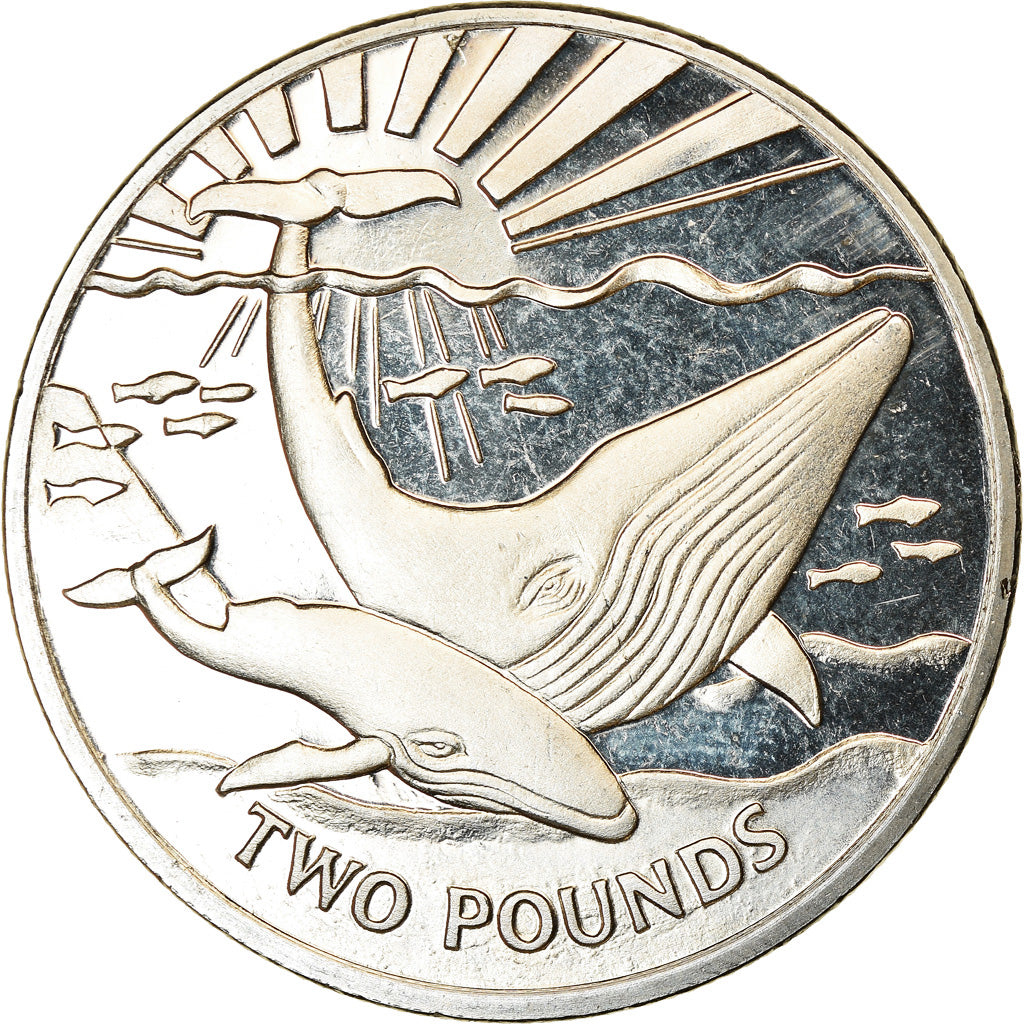 Monnaie, South Georgia and the South Sandwich Islands, 2 Pounds, 2017, Baleine