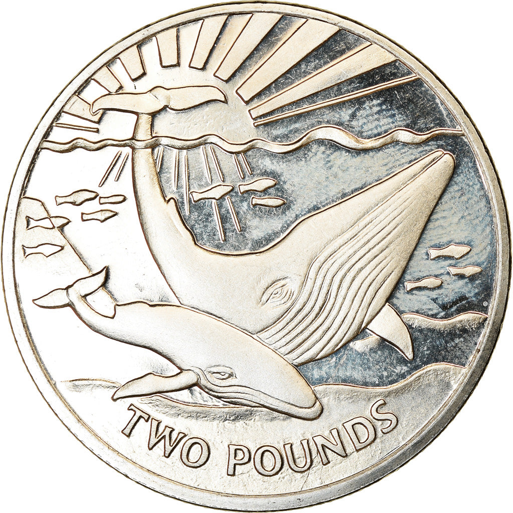 Coin, South Georgia and the South Sandwich Islands, 2 Pounds, 2017, Baleine