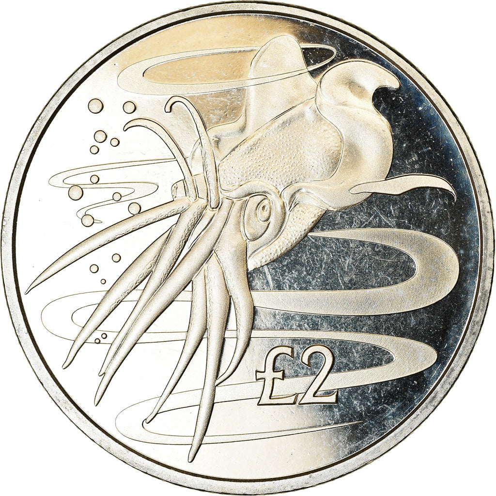 Coin, South Georgia and the South Sandwich Islands, 2 Pounds, 2017, Calamar
