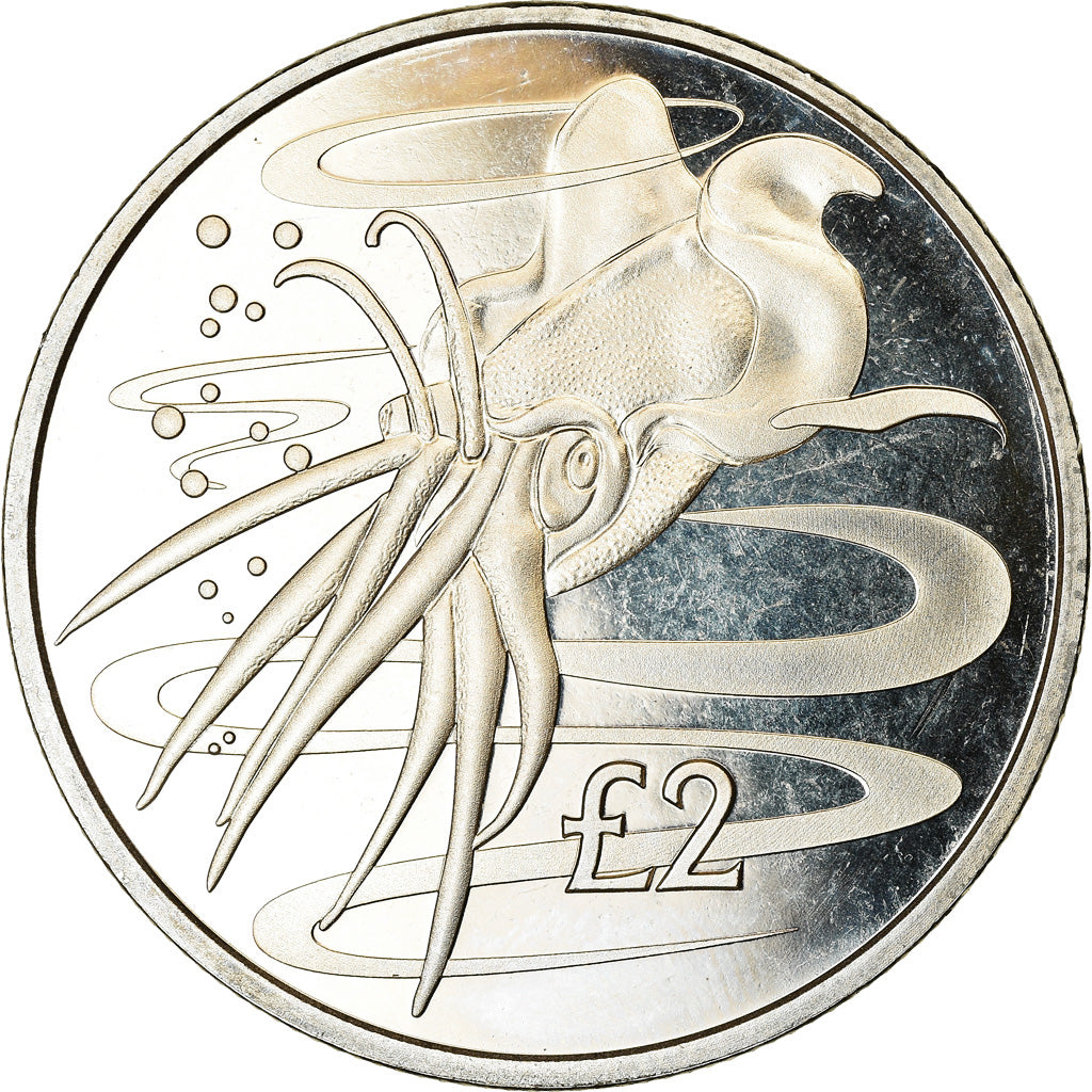 Coin, South Georgia and the South Sandwich Islands, 2 Pounds, 2017, Calamar