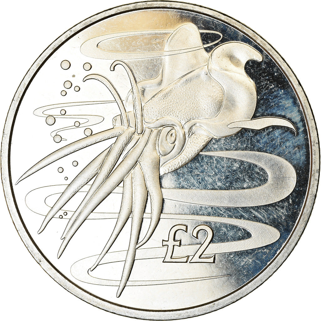 Coin, South Georgia and the South Sandwich Islands, 2 Pounds, 2017, Calamar