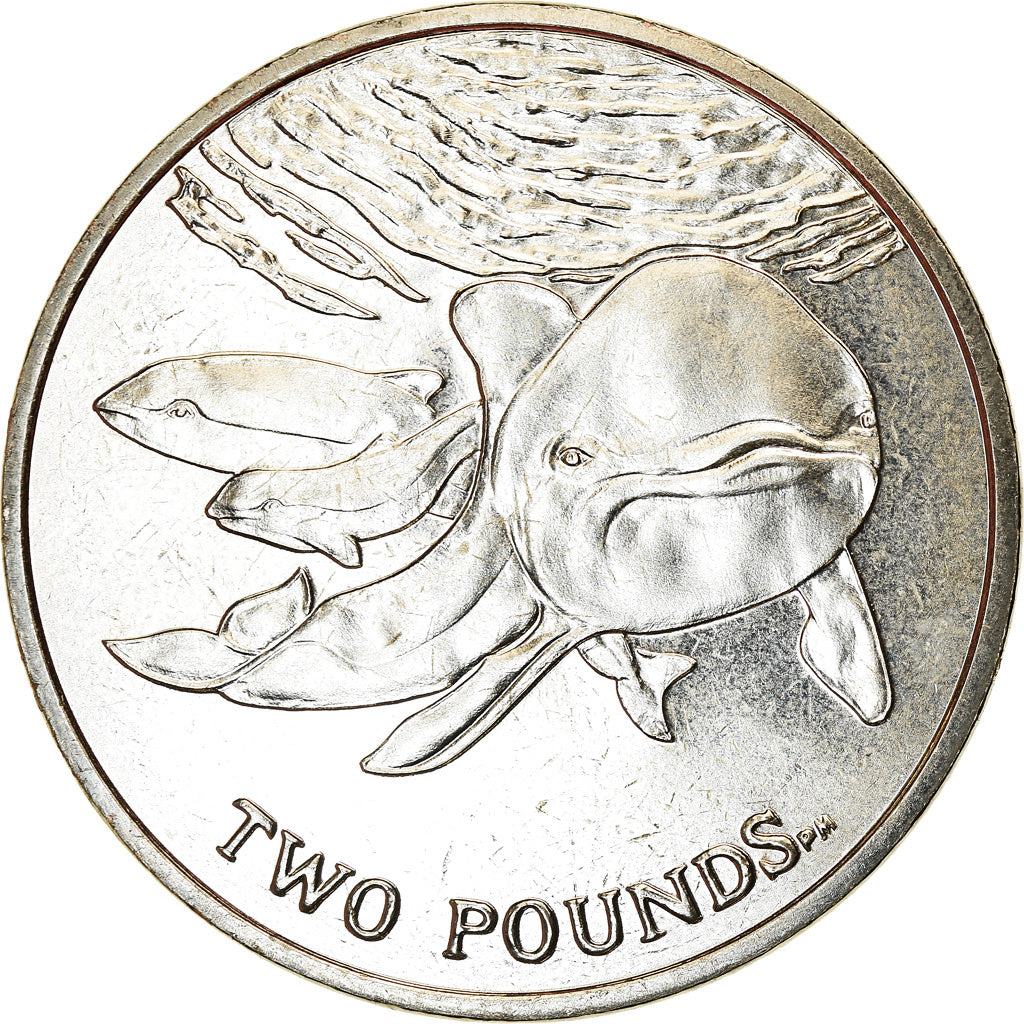 Coin, South Georgia and the South Sandwich Islands, 2 Pounds, 2014, MS(63)
