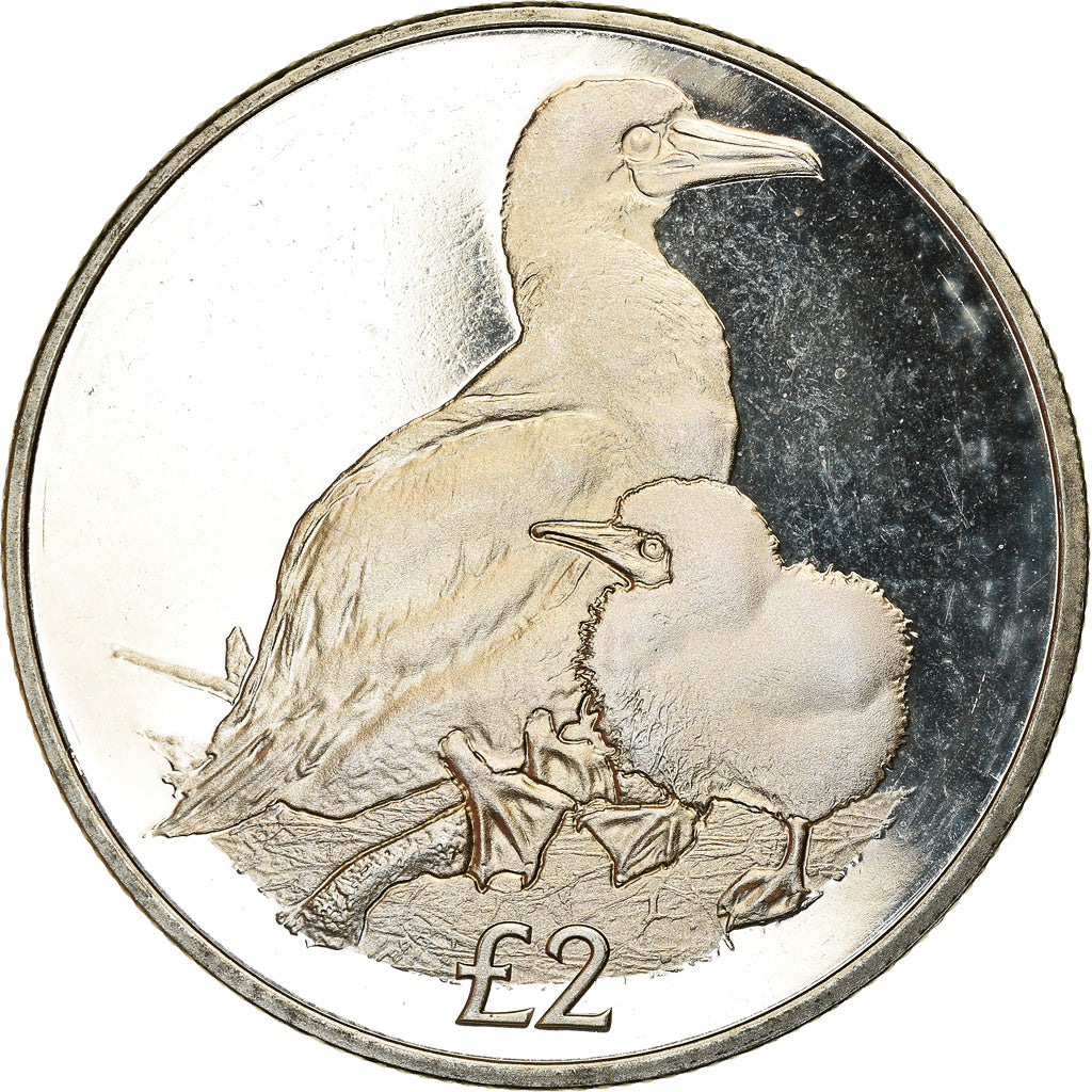 Coin, British Indian Ocean, 2 Pounds, 2019, Oiseaux - Fou à pieds rouges