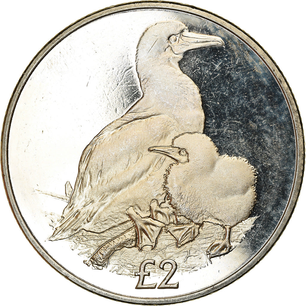 Moneta, British Indian Ocean, 2 Pounds, 2019, Oiseaux - Fou à pieds rouges