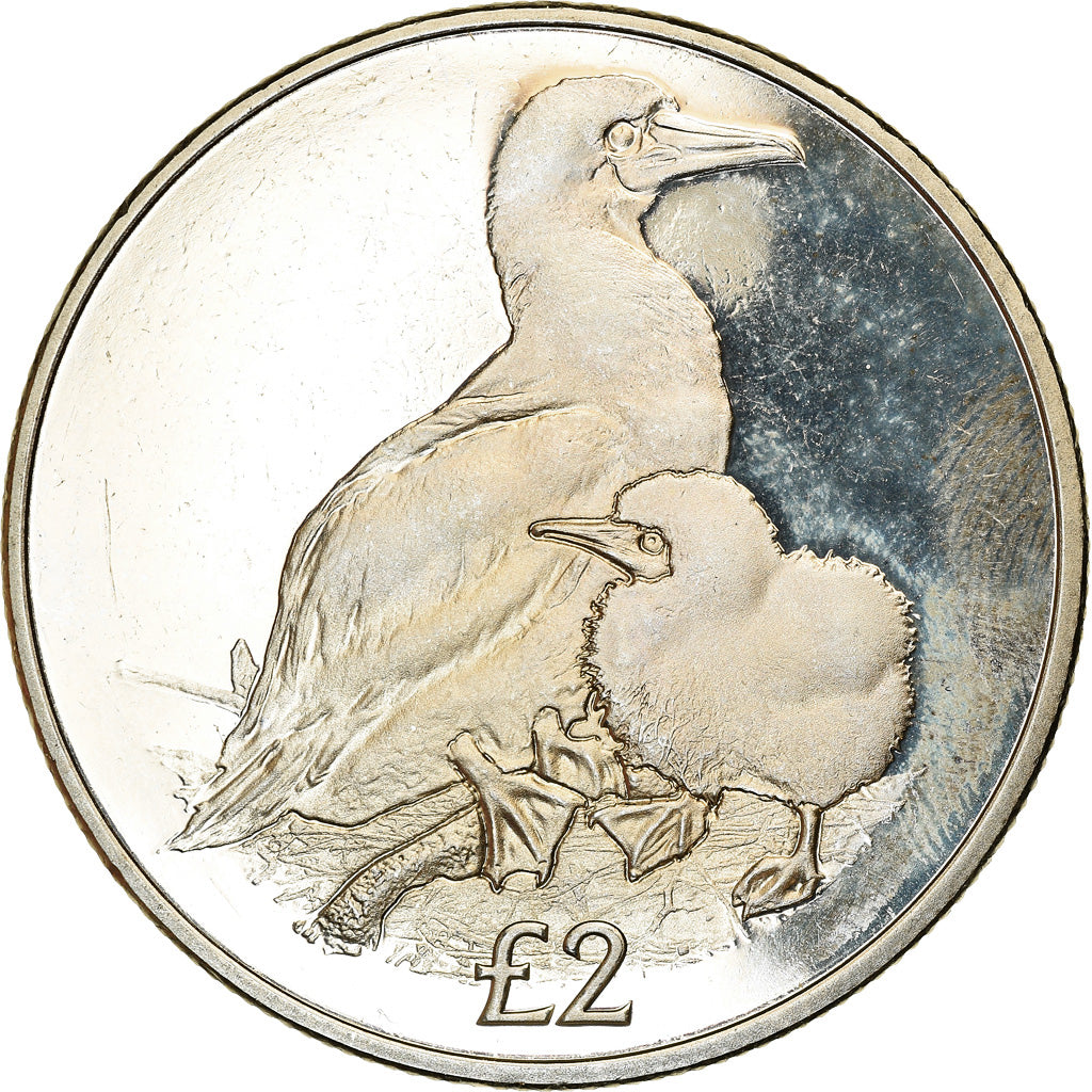 Moneta, British Indian Ocean, 2 Pounds, 2019, Oiseaux - Fou à pieds rouges