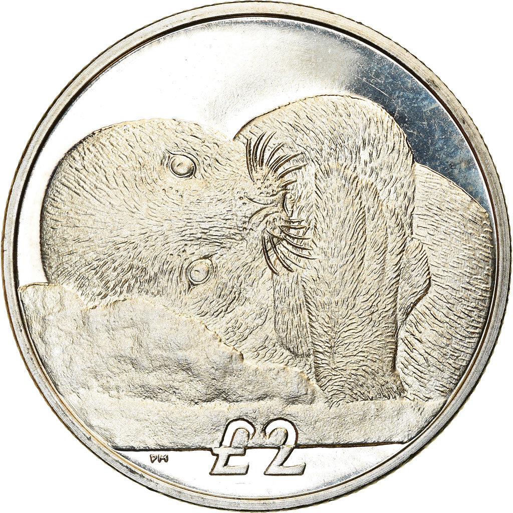 Coin, South Georgia and the South Sandwich Islands, 2 Pounds, 2013, Phoque de