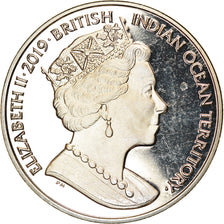 Coin, British Indian Ocean, 2 Pounds, 2019, Dragon, MS(63), Cupro-nickel