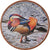 Moeda, Somalilândia, Shilling, 2019, Oiseaux - Canard mandarin, MS(63), Aço