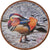 Coin, Somaliland, Shilling, 2019, Oiseaux - Canard mandarin, MS(63), Nickel