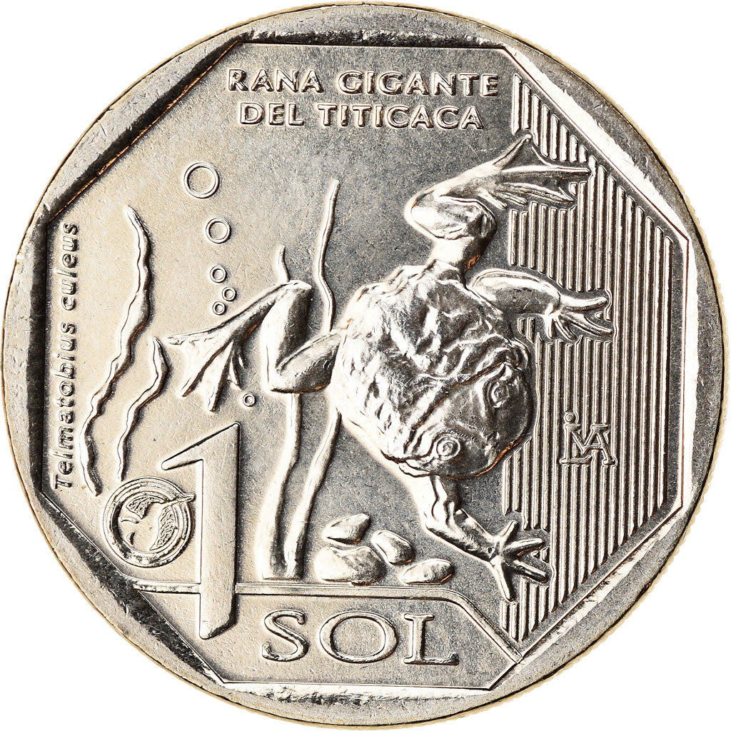 Coin, Peru, Sol, 2019, Lima, Grenouille du Titicaca, MS(63), Nickel-brass