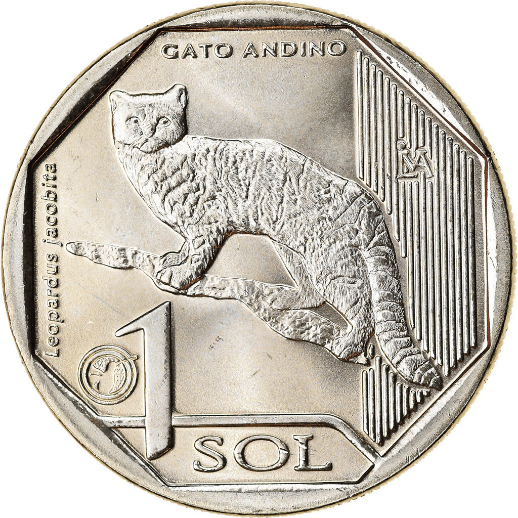 Moneta, Perù, Sol, 2019, Lima, Chats - Chat des Andes, SPL, Nichel-ottone