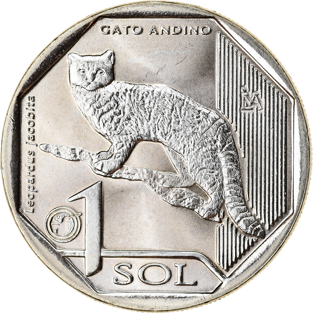 Moneta, Perù, Sol, 2019, Lima, Chats - Chat des Andes, SPL, Nichel-ottone