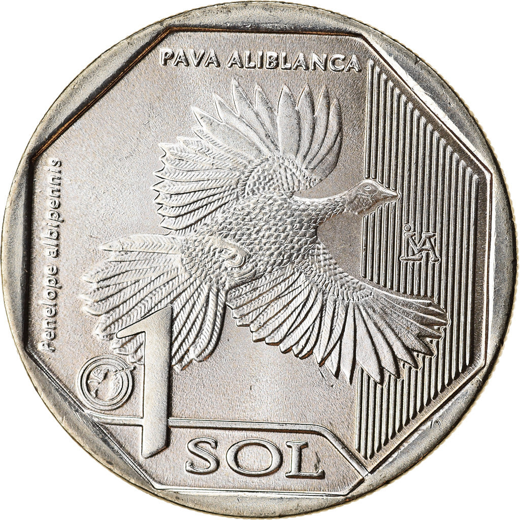 Moneda, Perú, Sol, 2018, Lima, Oiseaux - Pénélope à ailes blanches, SC