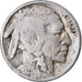 Moneta, USA, Buffalo Nickel, 5 Cents, 1929, U.S. Mint, Philadelphia, VF(20-25)