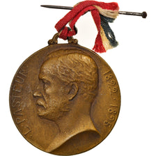 France, Medal, Centenaire de la Naissance de Pasteur, Medicine, 1922