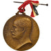 France, Medal, Centenaire de la Naissance de Pasteur, Medicine, 1922