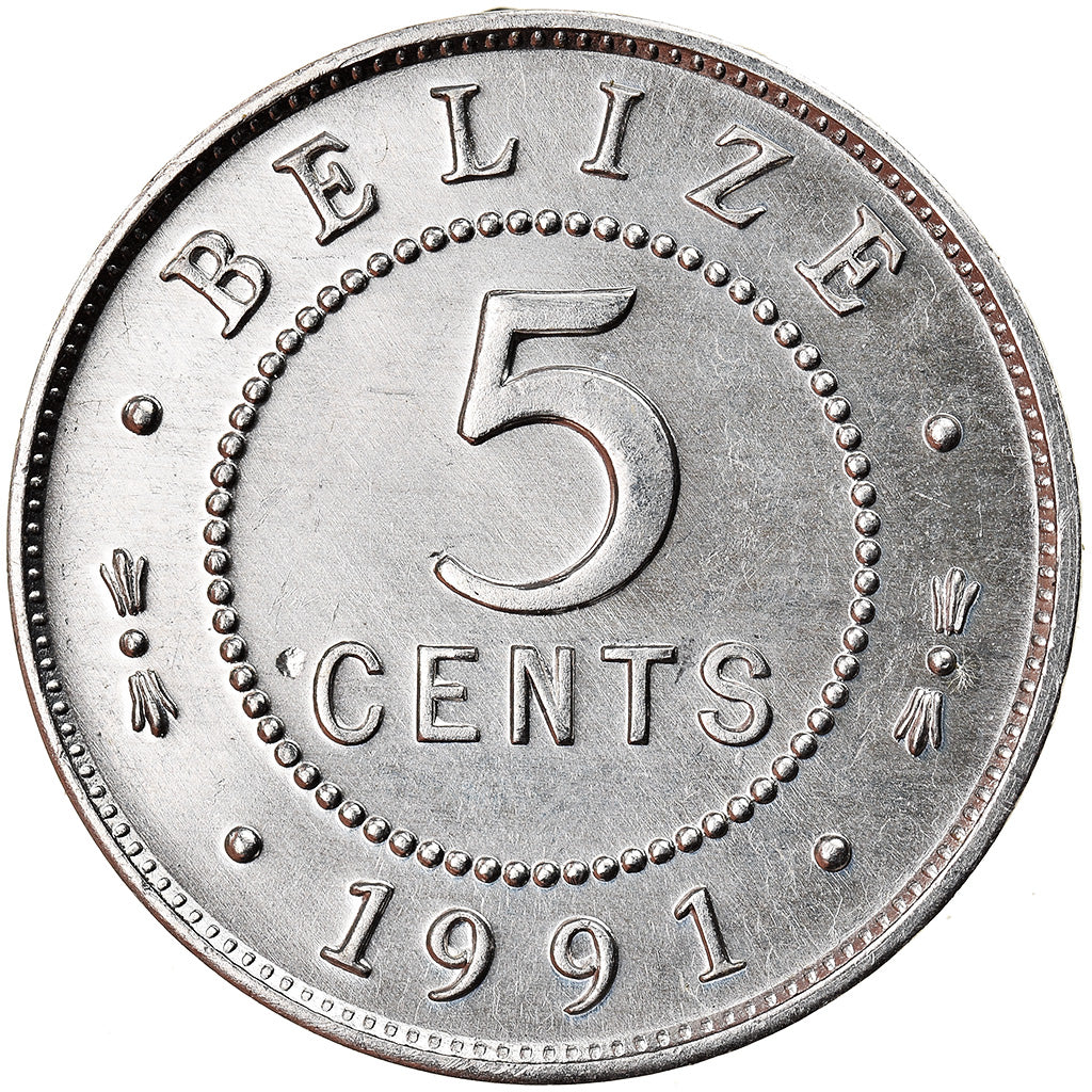 Coin, Belize, 5 Cents, 1991, AU(55-58), Aluminum, KM:34a