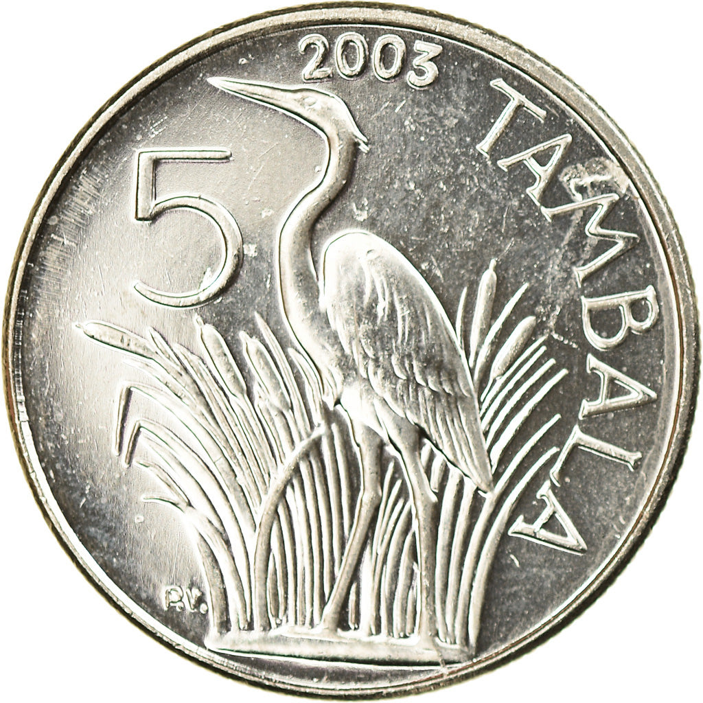Coin, Malawi, 5 Tambala, 2003, MS(63), Nickel plated steel, KM:32.2