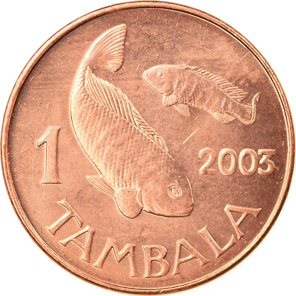 Coin, Malawi, Tambala, 2003, MS(63), Copper Plated Steel, KM:33a